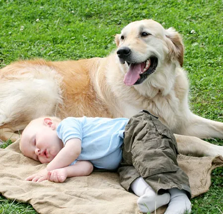 มีลูกเล็ก แต่เลี้ยงน้องหมา ปัญหากังวลใจพ่อแม่มือใหม่