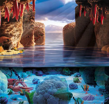 ซีลีเนียม แร่ธาตุฟื้นฟูสุขภาพระดับเซลล์