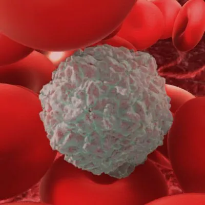 รับมือวิกฤต เชื้อดื้อยา