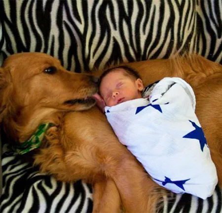 อย่าให้ลูกนอนเตียงเดียวกับน้องหมา