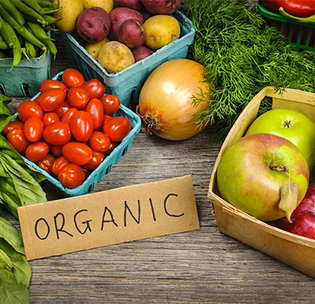 อาหารออร์แกนิก Organic Food