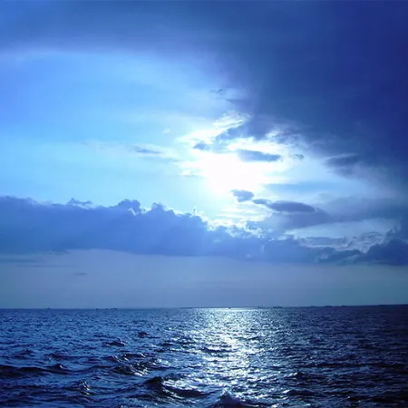 สารต้านอนุมูลอิสระ ลดความเสื่อมจริงหรือ