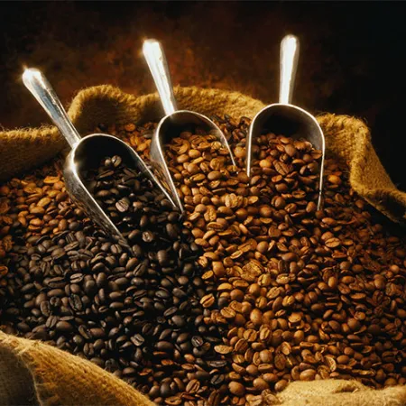 เตรียมบอกลาความอ้วน มารู้จักสารสกัดกาแฟเขียวกัน