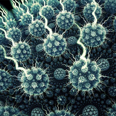 รู้จักกับไวรัสโรต้ากันก่อน