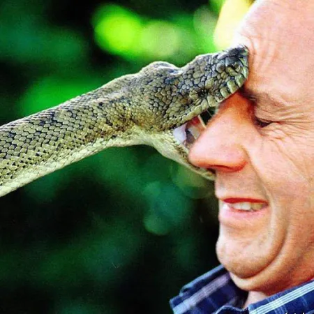 การปฐมพยาบาลเมื่อสัตว์มีพิษกัดต่อย