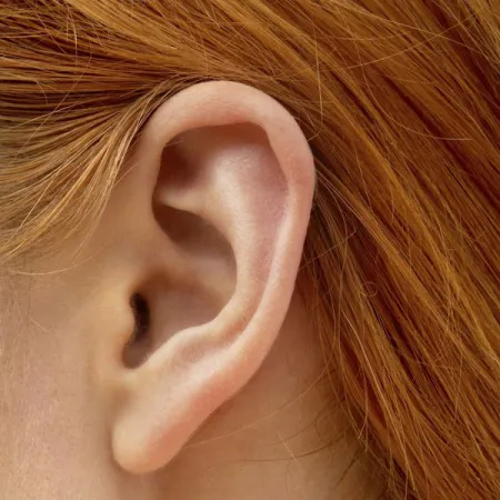 กดจุด ใบหู