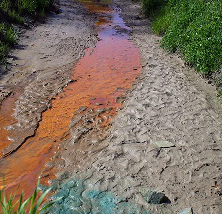 พิษโลหะหนัก