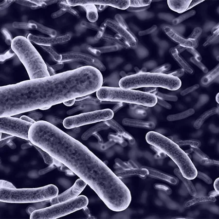 จุลินทรีย์โพรไบโอติกส์แก้ท้องผูก