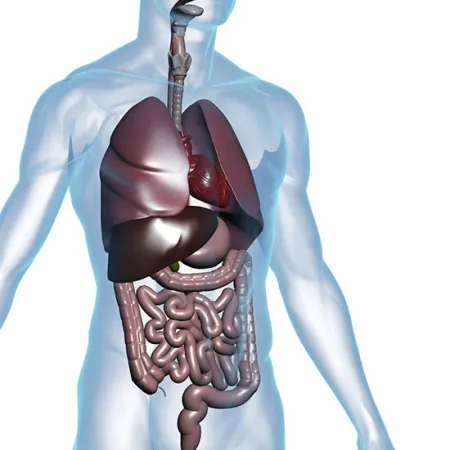 ล้างพิษให้ร่างกาย