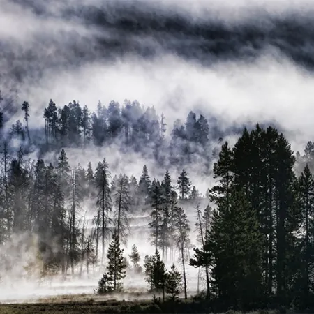 เมื่ออากาศเปลี่ยนแปลง