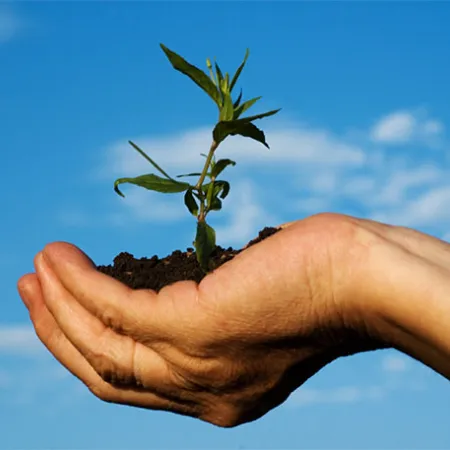 คุณพ่อคุณแม่ชวนลูกปลูกต้นไม้