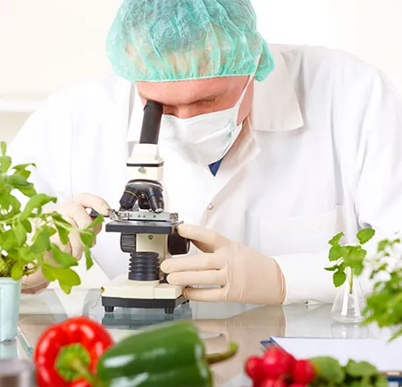 20 ผักผลไม้ล้างพิษ