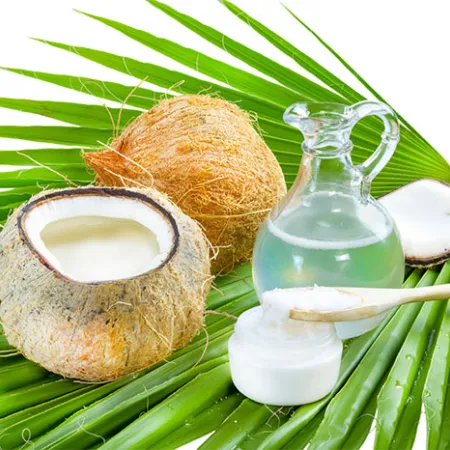 ไขมันจากน้ำมันมะพร้าวพิเศษอย่างไร