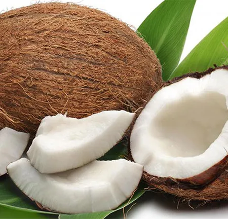 น้ำมันมะพร้าวเพิ่มภูมิคุ้มกันและต้านเสื่อม