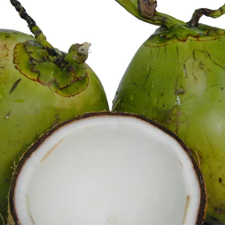 มาสคาราน้ำมันมะพร้าว