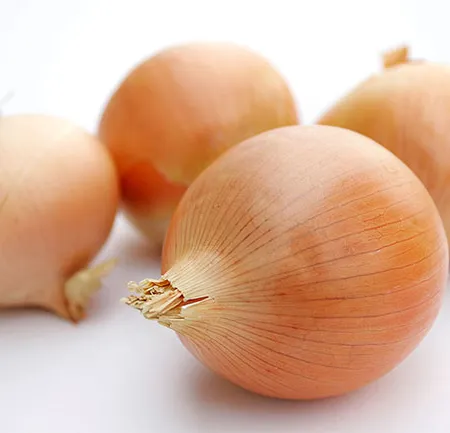 ฟลาโวนอยด์ ตัวช่วยสุขภาพ