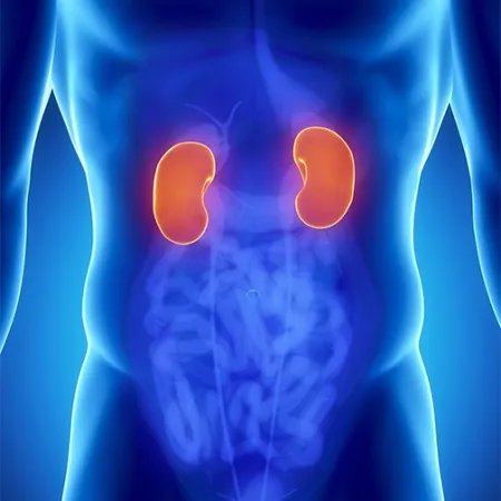 กินถนอมไตป้องกันความเสี่ยงโรคไต