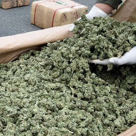 การรักษาโรคซึมเศร้าด้วยกัญชา