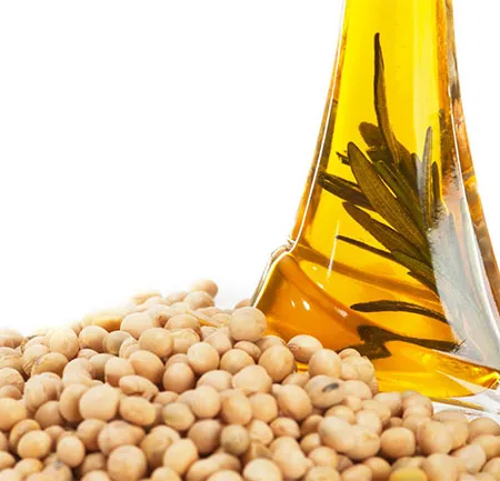 กรดไขมันอะราชิโดนิกมีประโยชน์ต่อร่างกาย