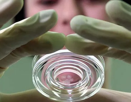 สเต็มเซลล์ รักษาความงามได้จริงหรือ