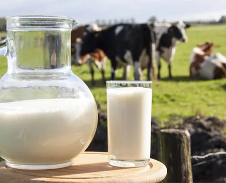 ประเภทของ นม ในท้องตลาดแตกต่างกันอย่างไร