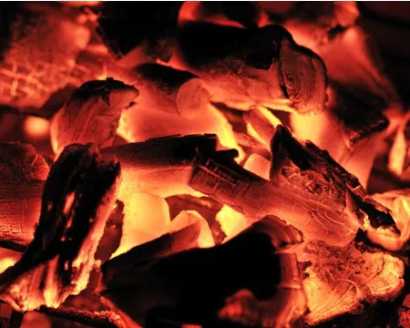 Charcoal Foods  อันตรายหรือไม่