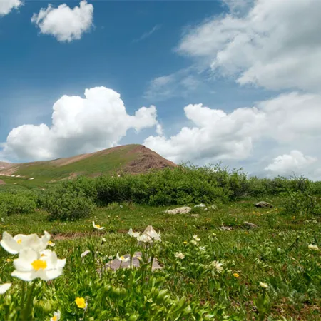 8 วีธีเตรียมรับมือโรคหน้าร้อน