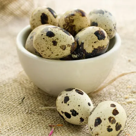 ลูก 2 ขวบกินไข่นกกระทาต้มได้ไม่เกินวันละกี่ฟอง