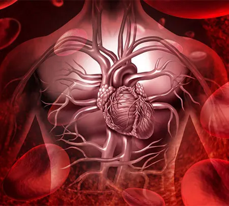 เซลล์ต้นกำเนิด สเต็มเซลล์ย้อนวัยได้ จริงหรือ