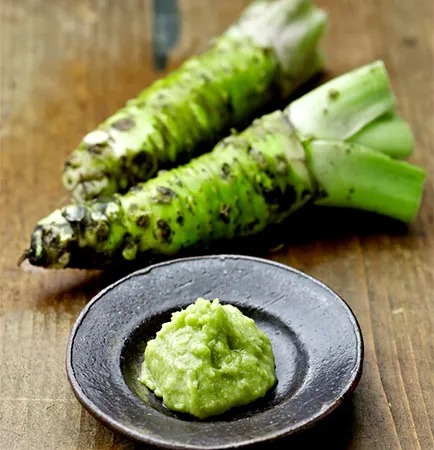 ยาแก้ปวดจากวาซาบิ