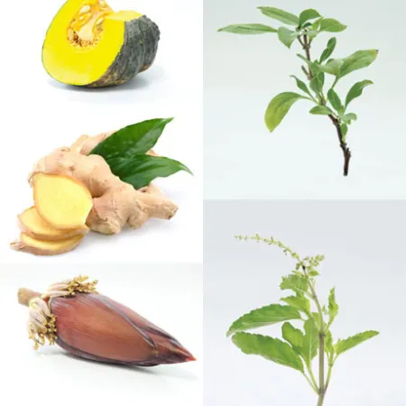 บำรุงร่างกายแม่หลังคลอดด้วยพืชผักพื้นบ้าน