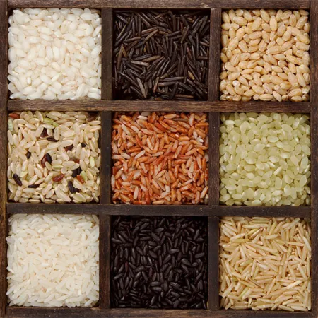 คุณประโยชน์ของข้าว หอมมะลิ ไรซ์เบอร์รี่ กล้อง