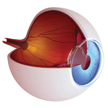 ตรวจตาหาต้อ ป้องกันโรคต้อหิน