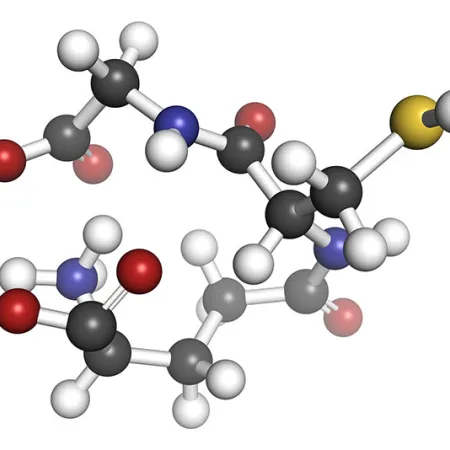 กรดอะมิโน สารสำคัญที่ขาดไม่ได้
