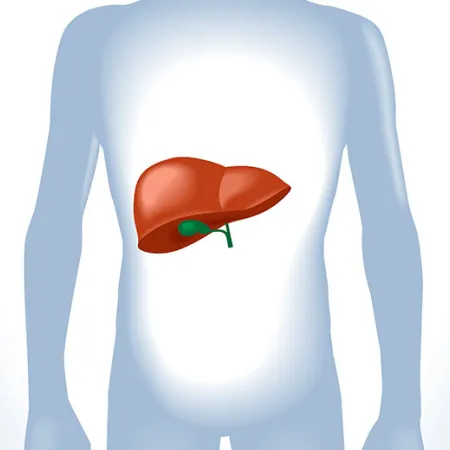 โรคตับ โรคมะเร็งตับ ตับอักเสบเรื้อรัง