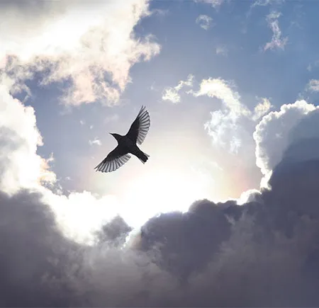 วางแผนชีวิตหลังความตาย