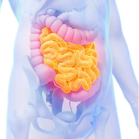 4 เทคนิคล้างลำไส้ หยุดเชื้อรา