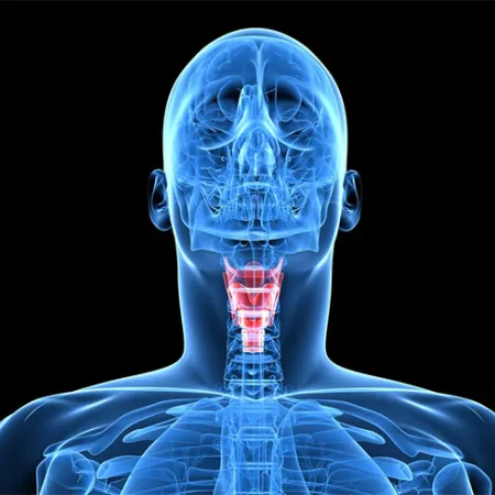 เสียงเปลี่ยนไป เมื่อวัยเปลี่ยนแปลง