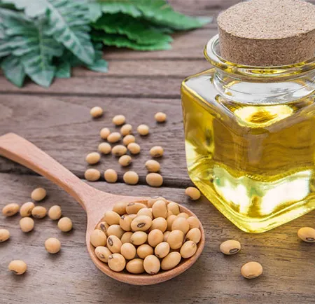 สุขภาพดีจากภายในด้วยน้ำมันถั่วเหลือง