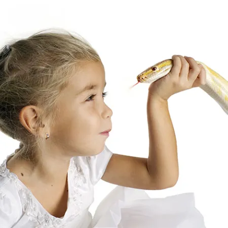 แก้ไขเบื้องต้นคนถูกงูกัด