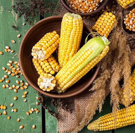 ข้าวโพดต้ม รักษามะเร็งได้จริงหรือ