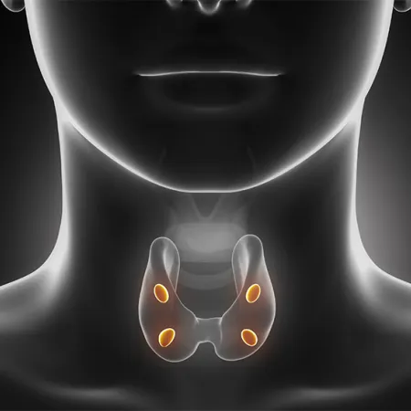  คอพอก (Goiter) คืออะไร