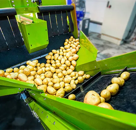 อาหารแปรรูปทำทางเดินอาหารอักเสบ