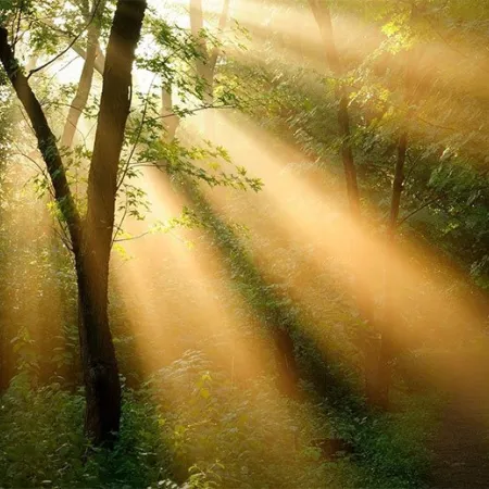 เคล็ดลับปกป้องผิวพรรณจากแสงแดด