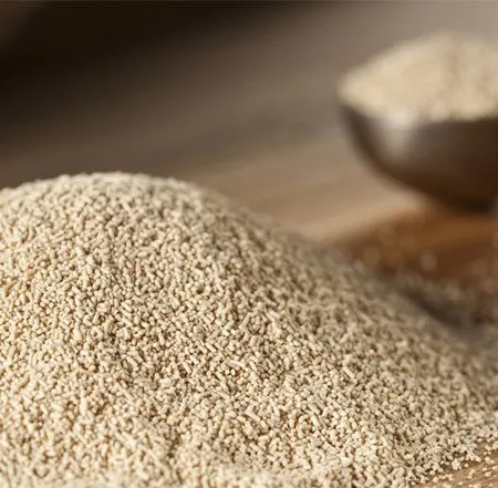 บริเวอร์ยีสต์ คืออะไร