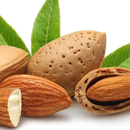 อัลมอนด์ แหล่งไขมันดีต้านอัลไซเมอร์