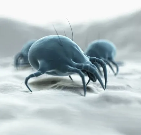 วิธีซักเครื่องนอนกำจัดไรฝุ่น ด้วยความร้อนความเย็น