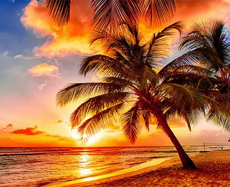 โรคร้ายจากแสงยูวีต่อดวงตา