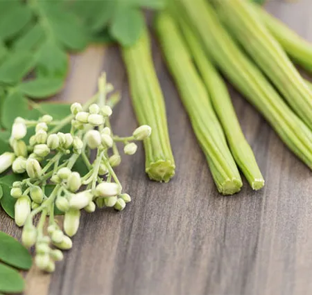 มะรุม ช่วยลดจำนวนก้อนมะเร็ง