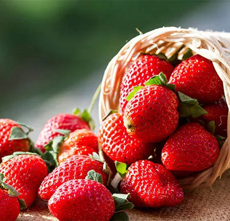 สตรอว์เบอร์รี่ ลดความเสี่ยงมะเร็งหลอดอาหาร